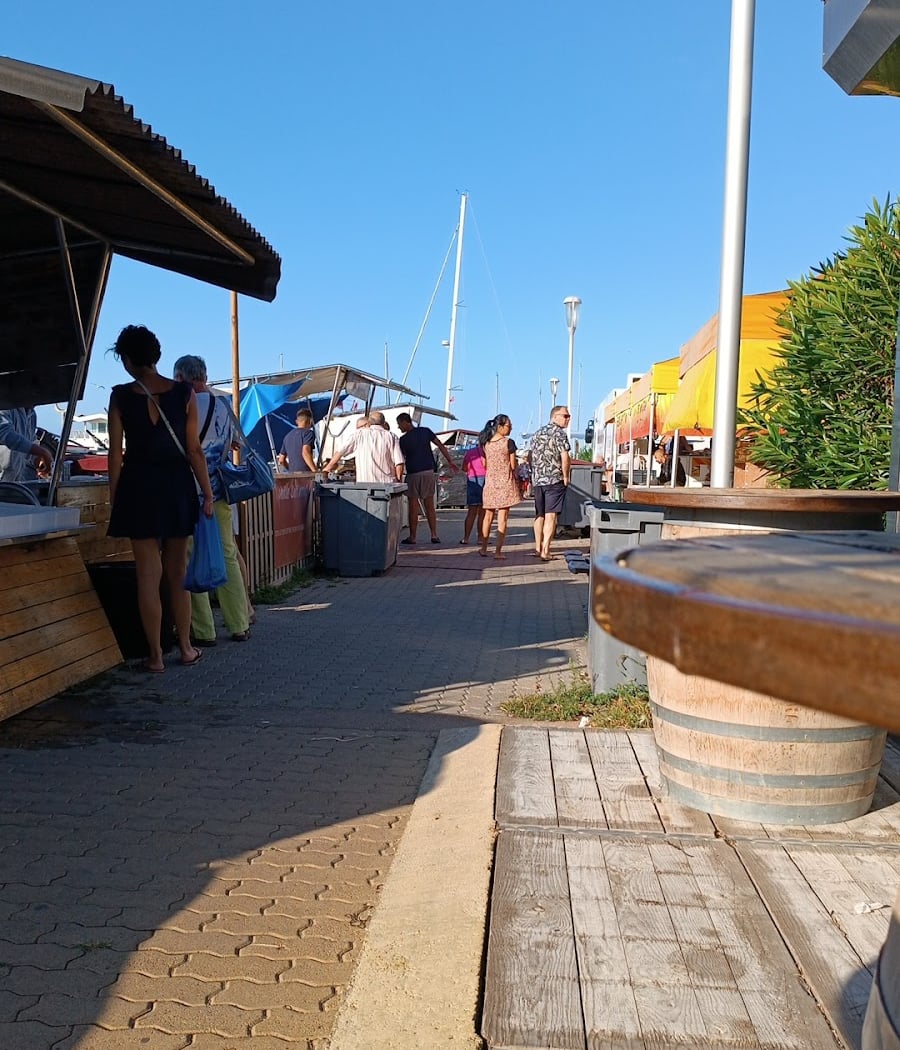 Port de pêche du Cap d'Agde 3