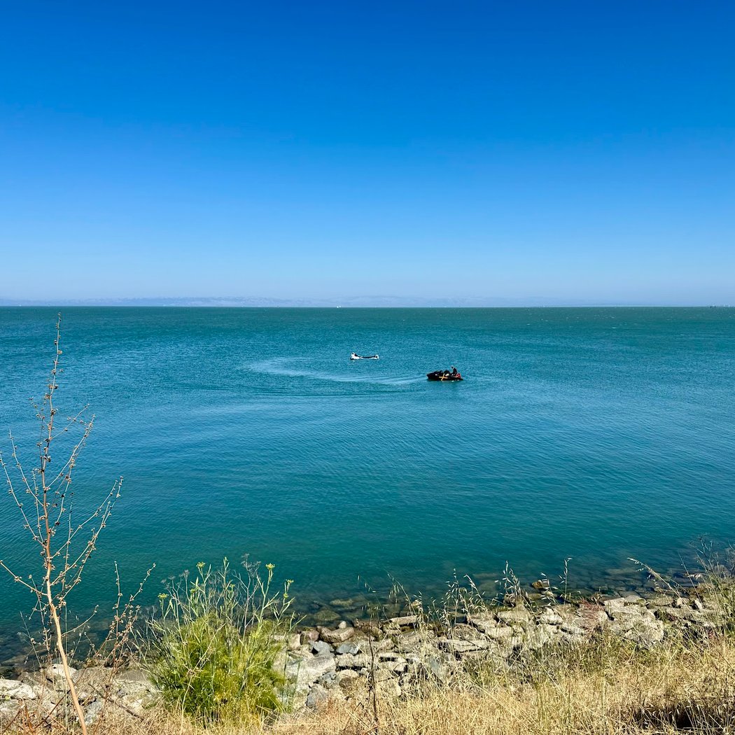 Bay Trail, Point San Bruno 3