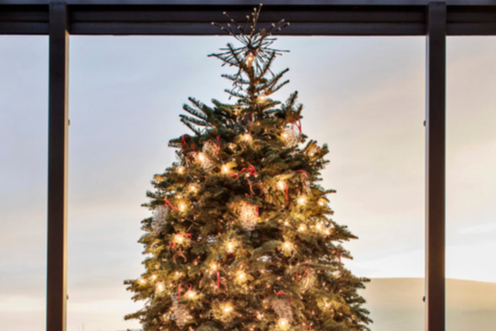 Holiday Activations at Ram's Gate Winery 1