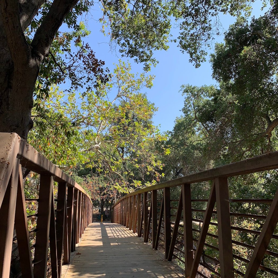 Odette Morrow Trail 1