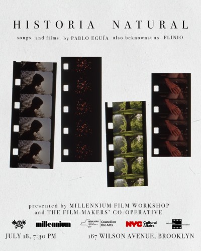 Historia Natural: Songs and Films by Plinio