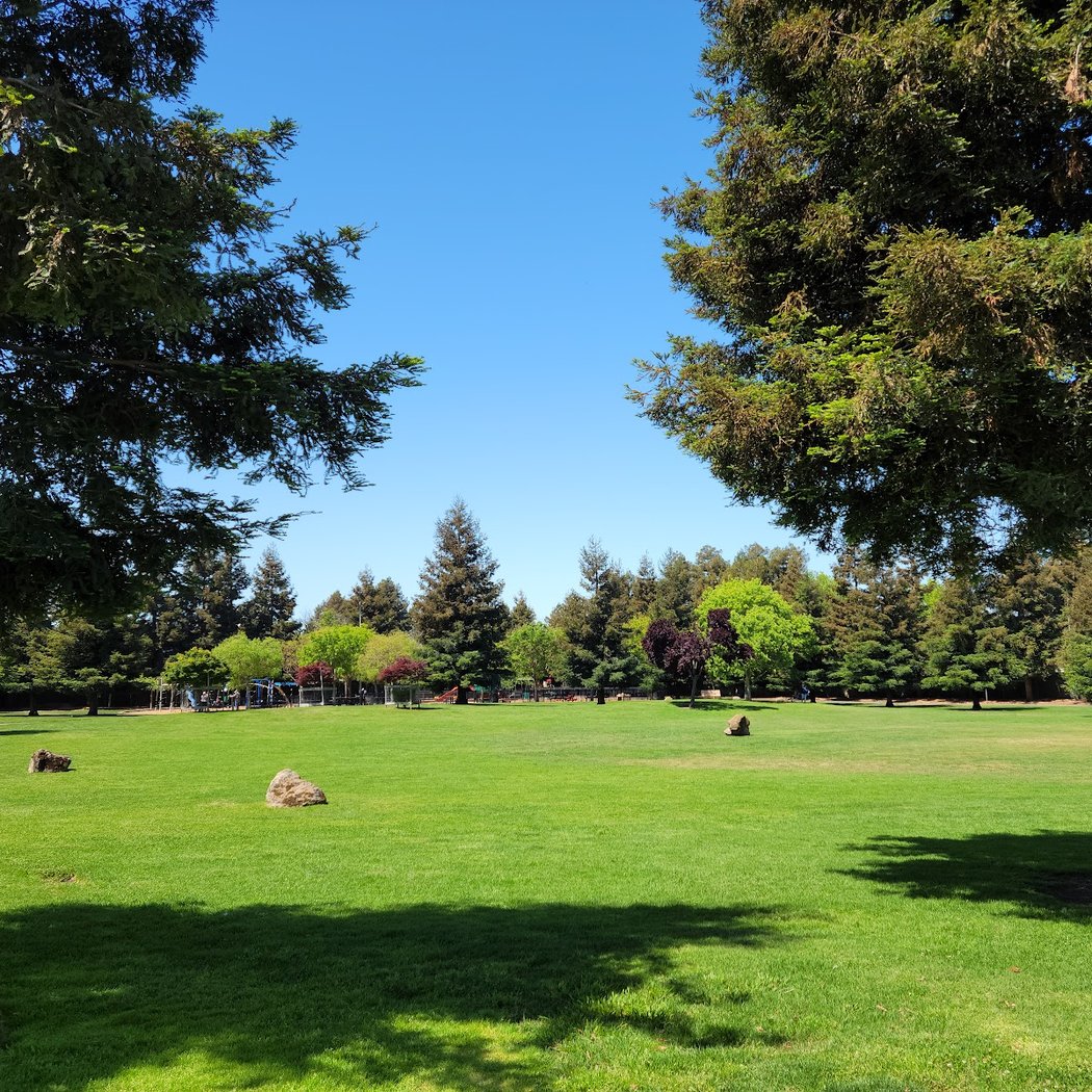 Halcyon Park 3