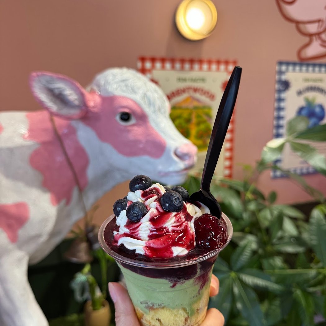 The Brentwood Ice Cream Company 1