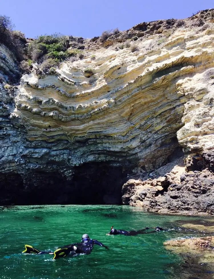 Snorkel Tour at Channel Islands National Park 1