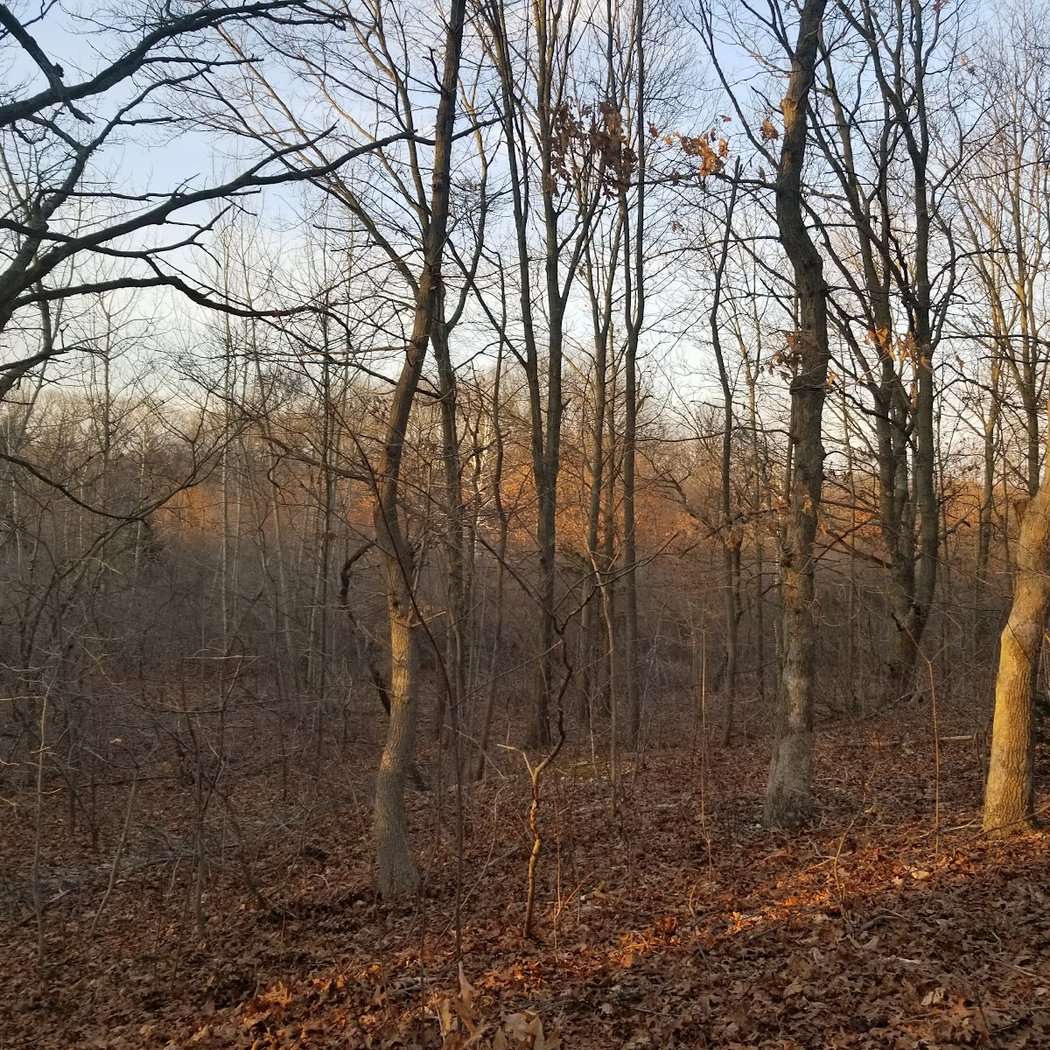 Bethpage Bikeway 3
