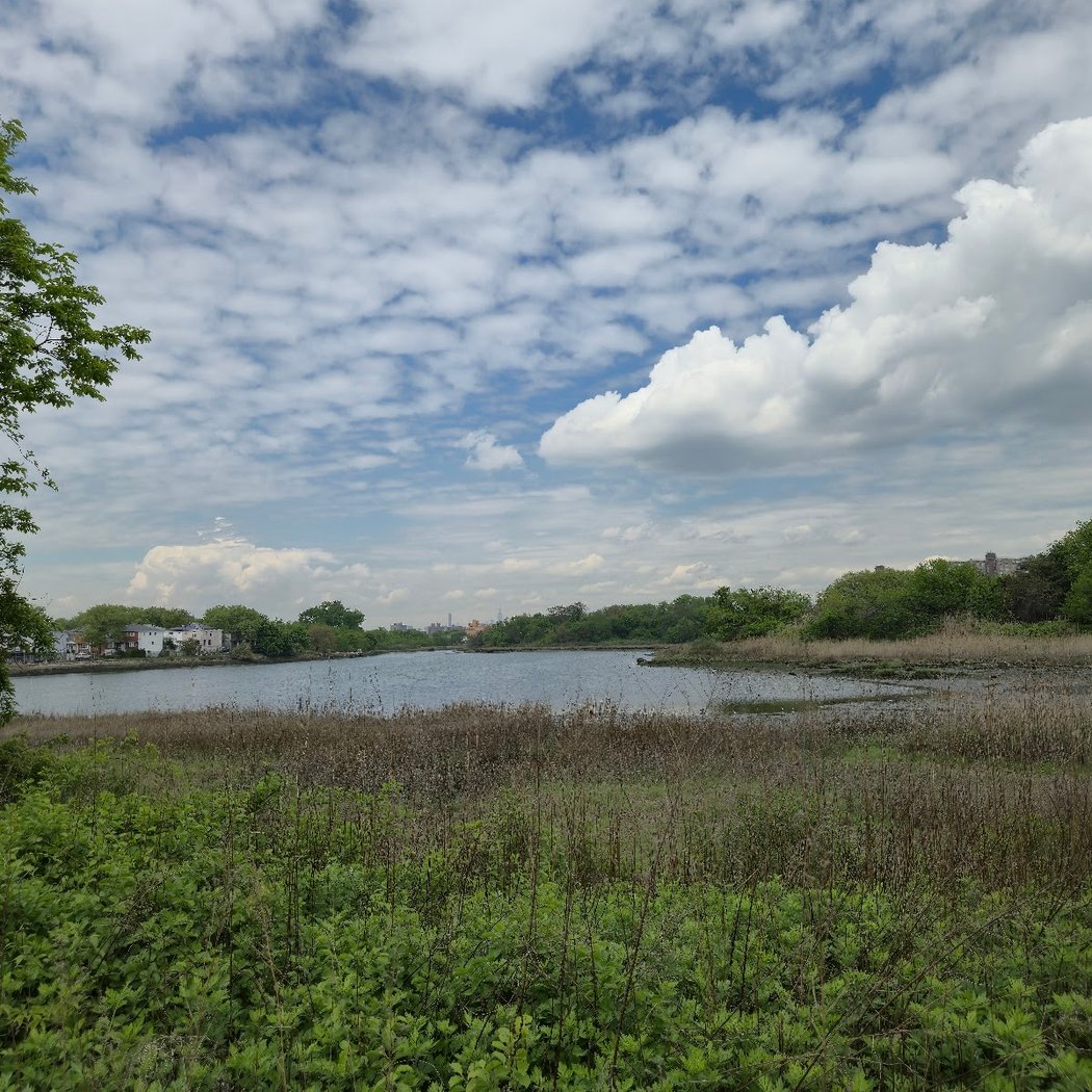 Fresh Creek Nature Preserve 3