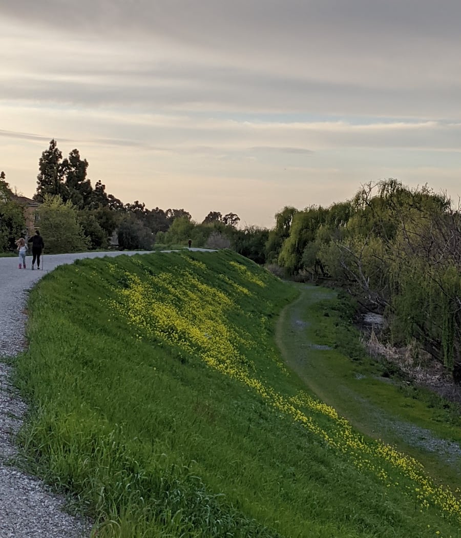 Guadalupe River Trail 2