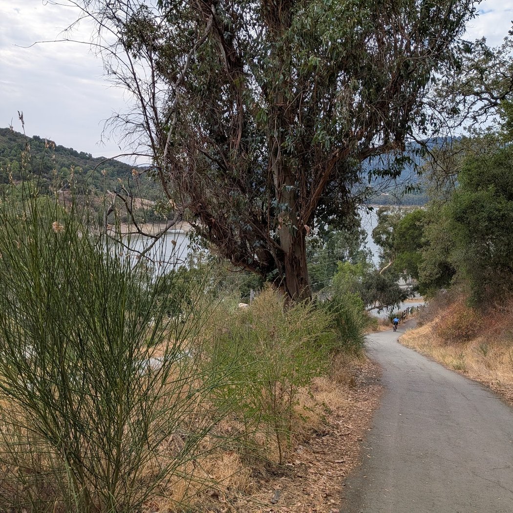 Los Gatos Creek Trail 2
