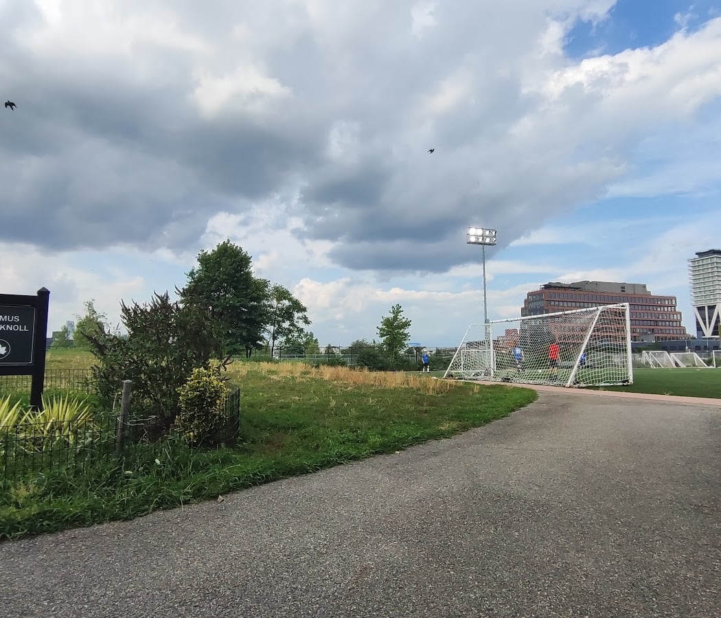 9 v 9 CO-ED Pickup Soccer 2