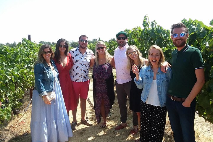 Small-Group Wine Country Tour from San Francisco with Tastings 2