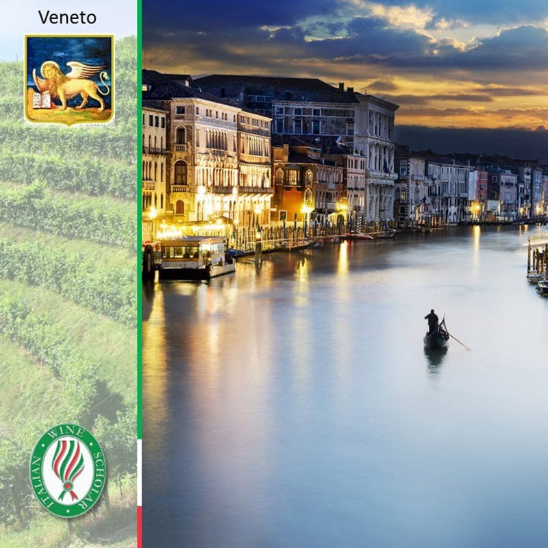 Wines of Veneto 1
