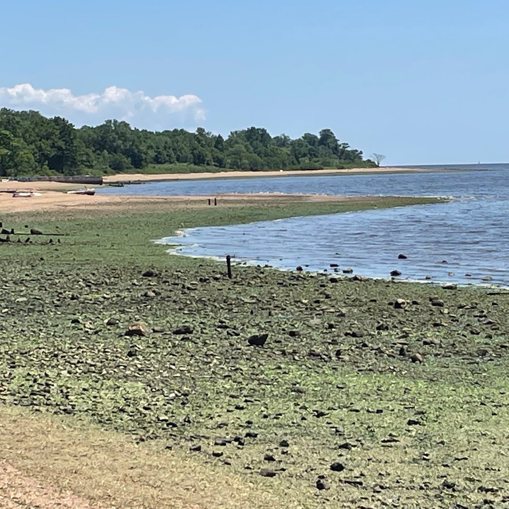 Robinsons Beach 2