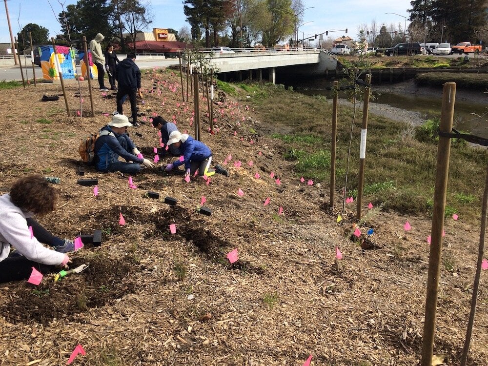 Willow Creek Restoration Site 1