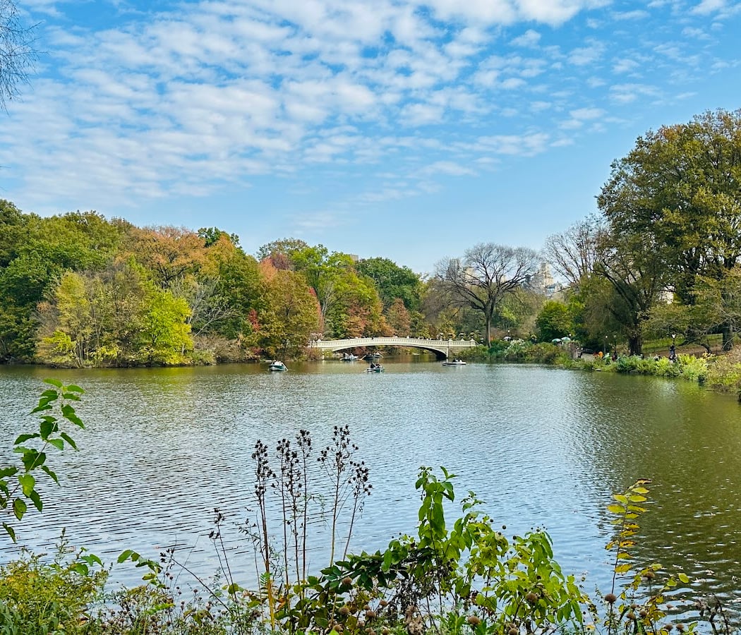 The Lake 3
