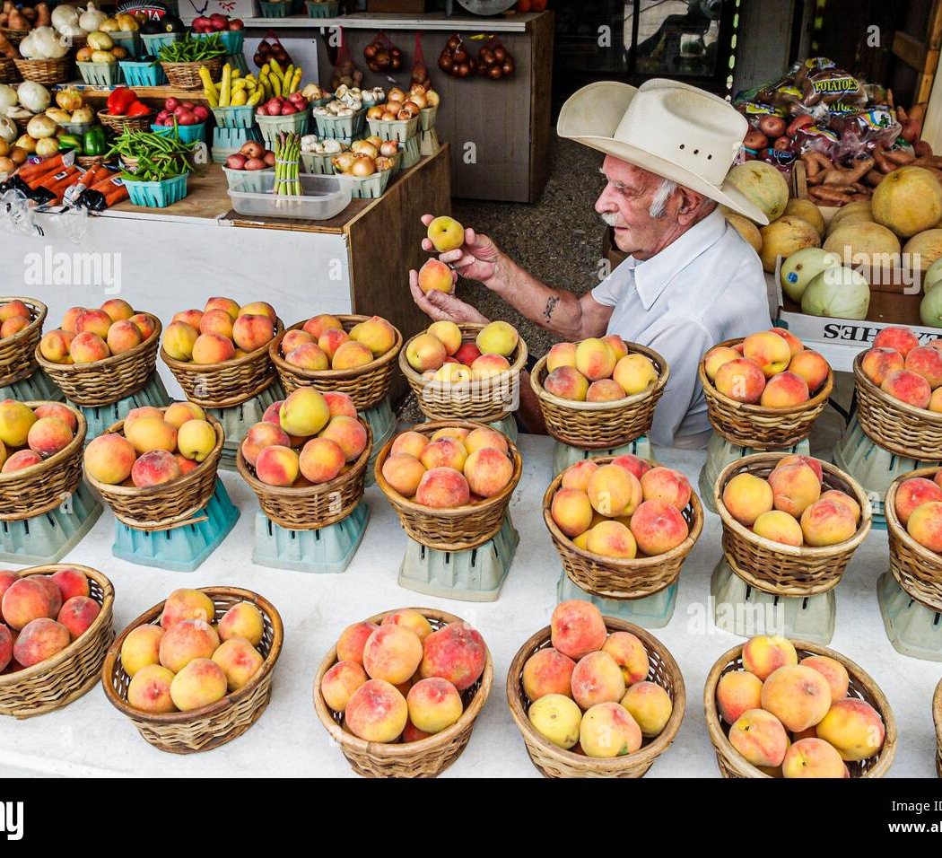 Peach Festival 1