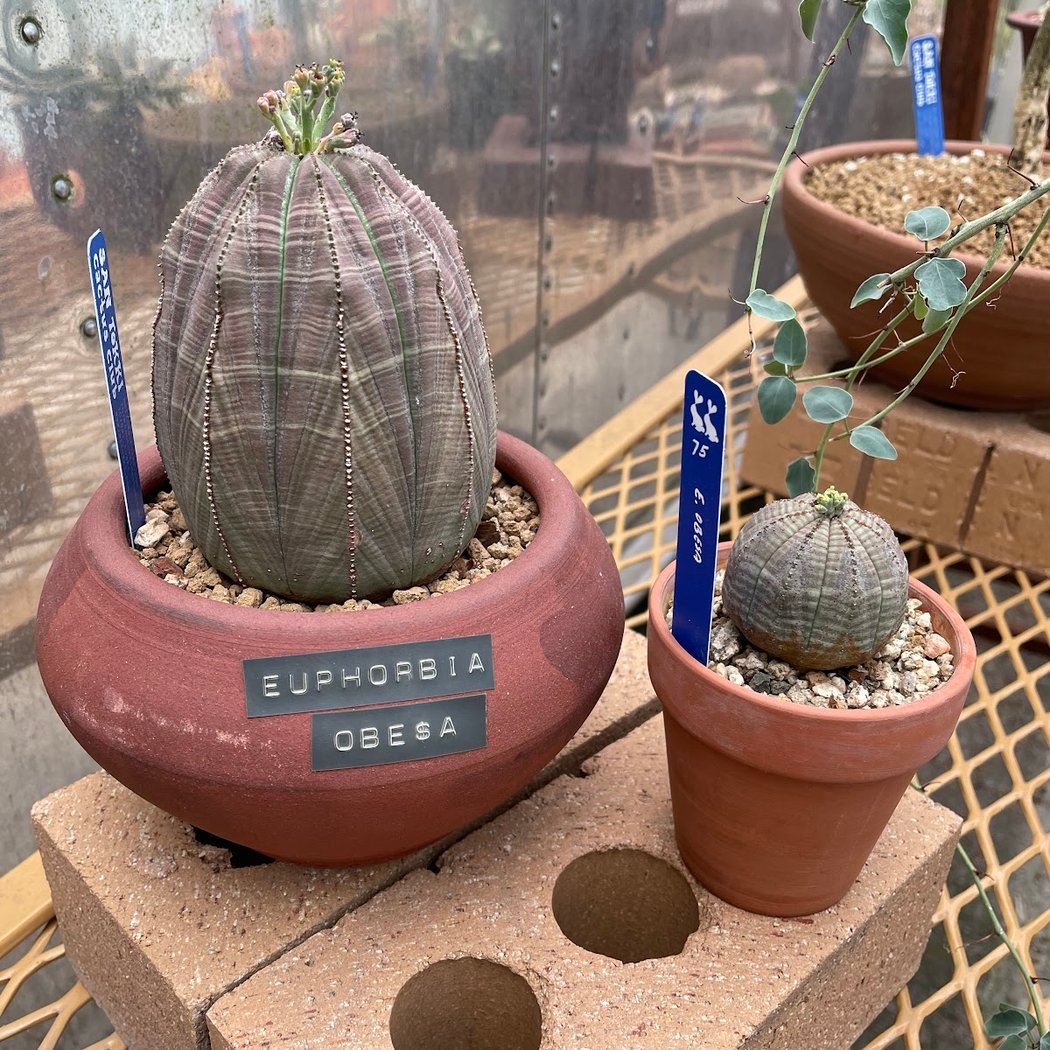 San Tokki Studio 1