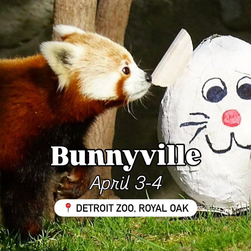 Bunnyville 1