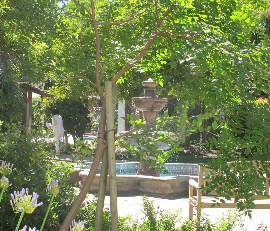 Center For Spiritual Enlightenment 2