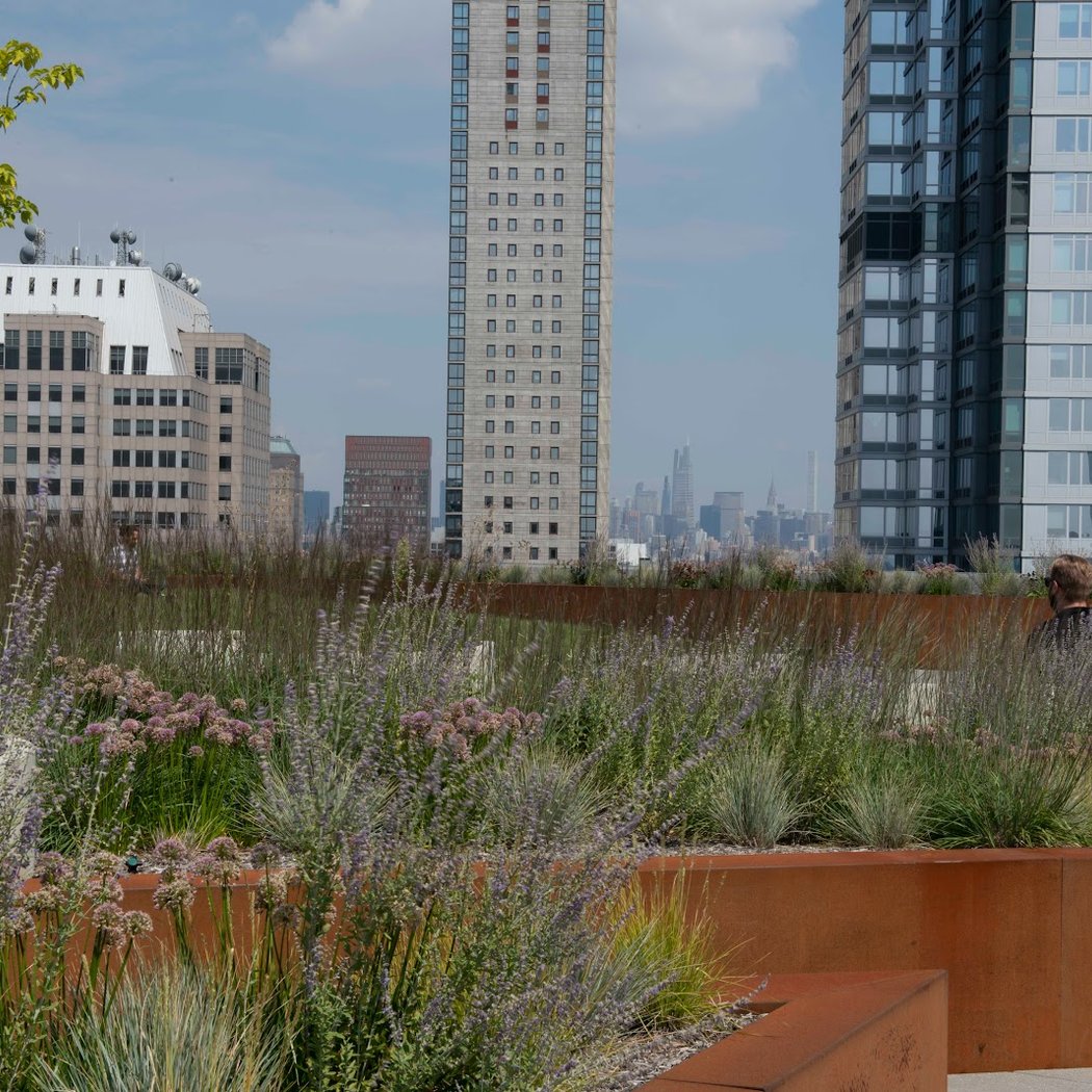 New York Green Roofs 3