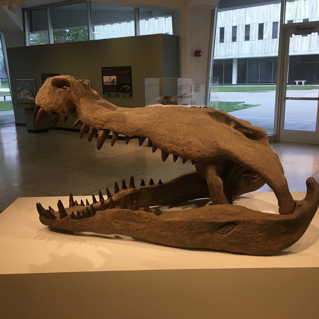 New Jersey State Museum 1