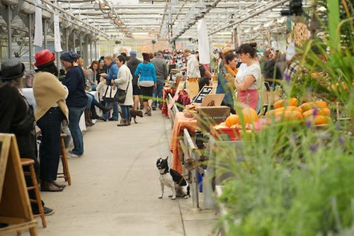 Uptown Farmers Market 3