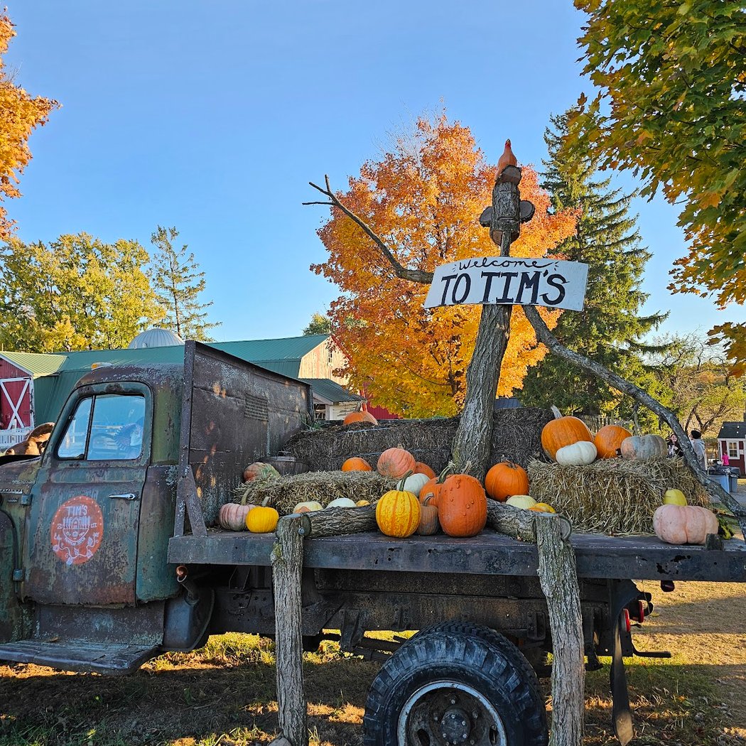 Tim's Pumpkin Patch 5