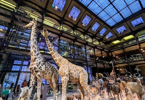 Les Rendez-vous nature 2024 1