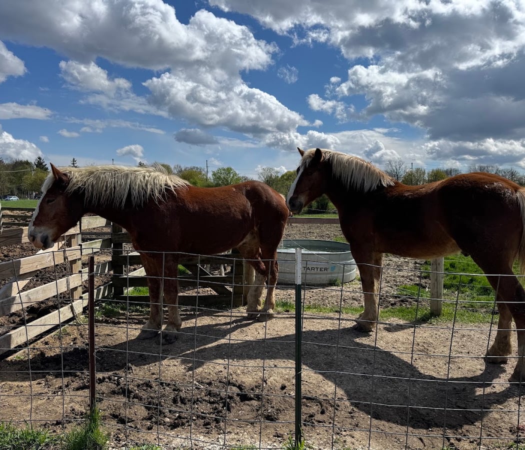 Centennial Farm Exhibit 3