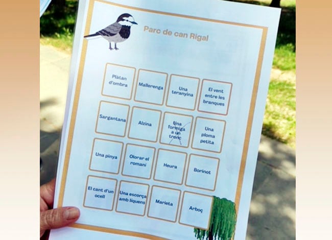 Bingo de la biodiversitat 1