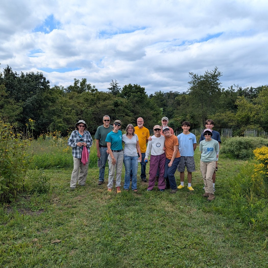 Native Plant Work Days 3