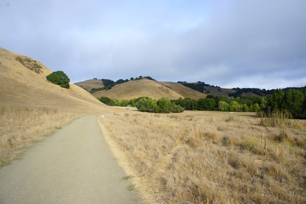 BRIONES REGIONAL PARK (Bear Creek to the Valley and Crest Trails) 3