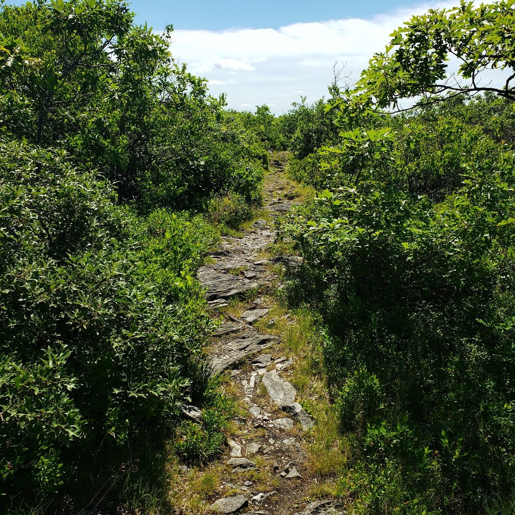 Brace Mountain 3