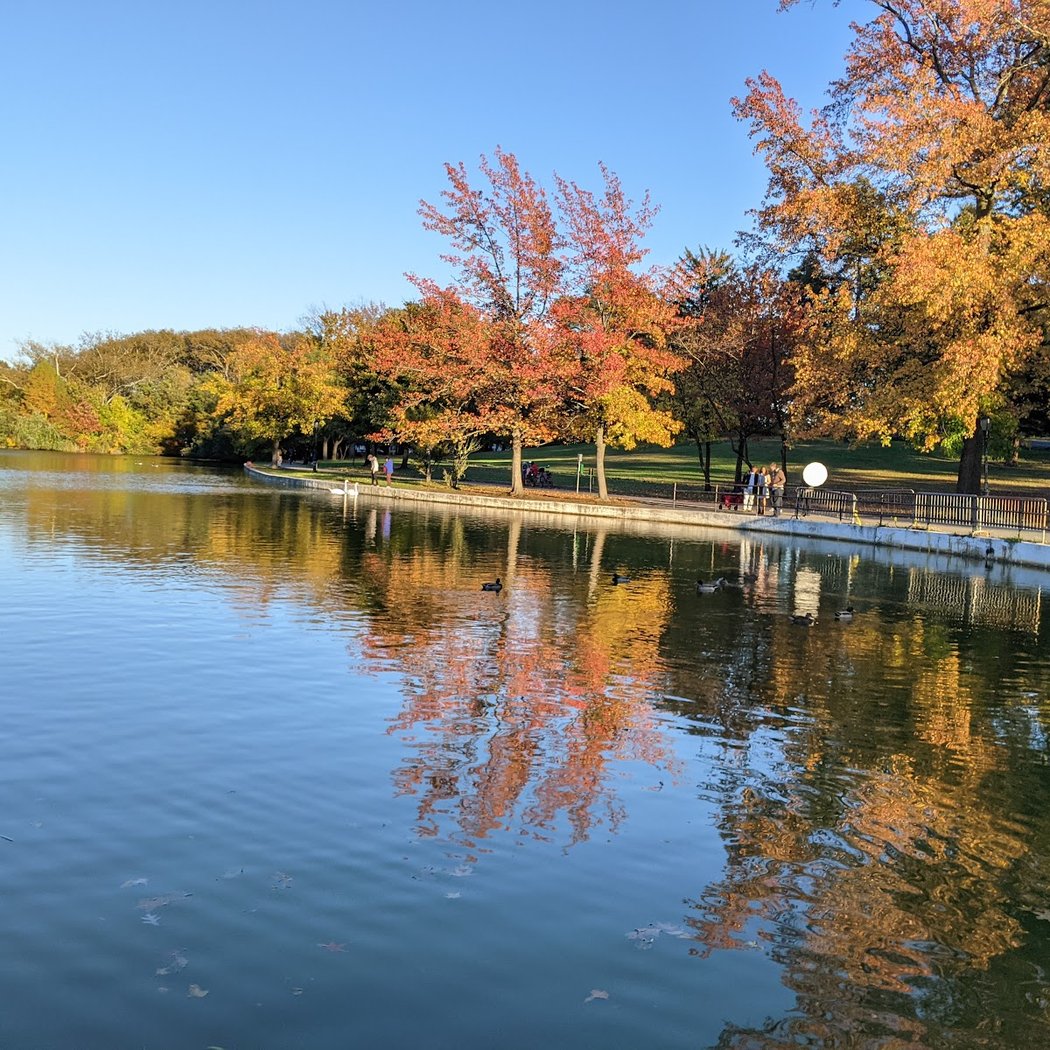 Fresh Meadows Park 1