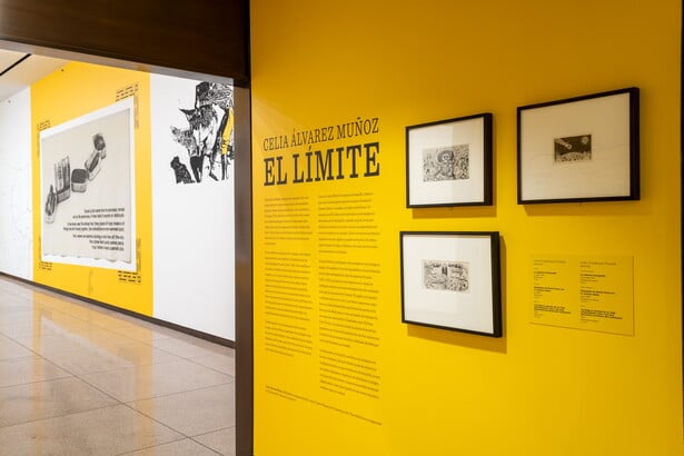 Celia Álvarez Muñoz: El Límite