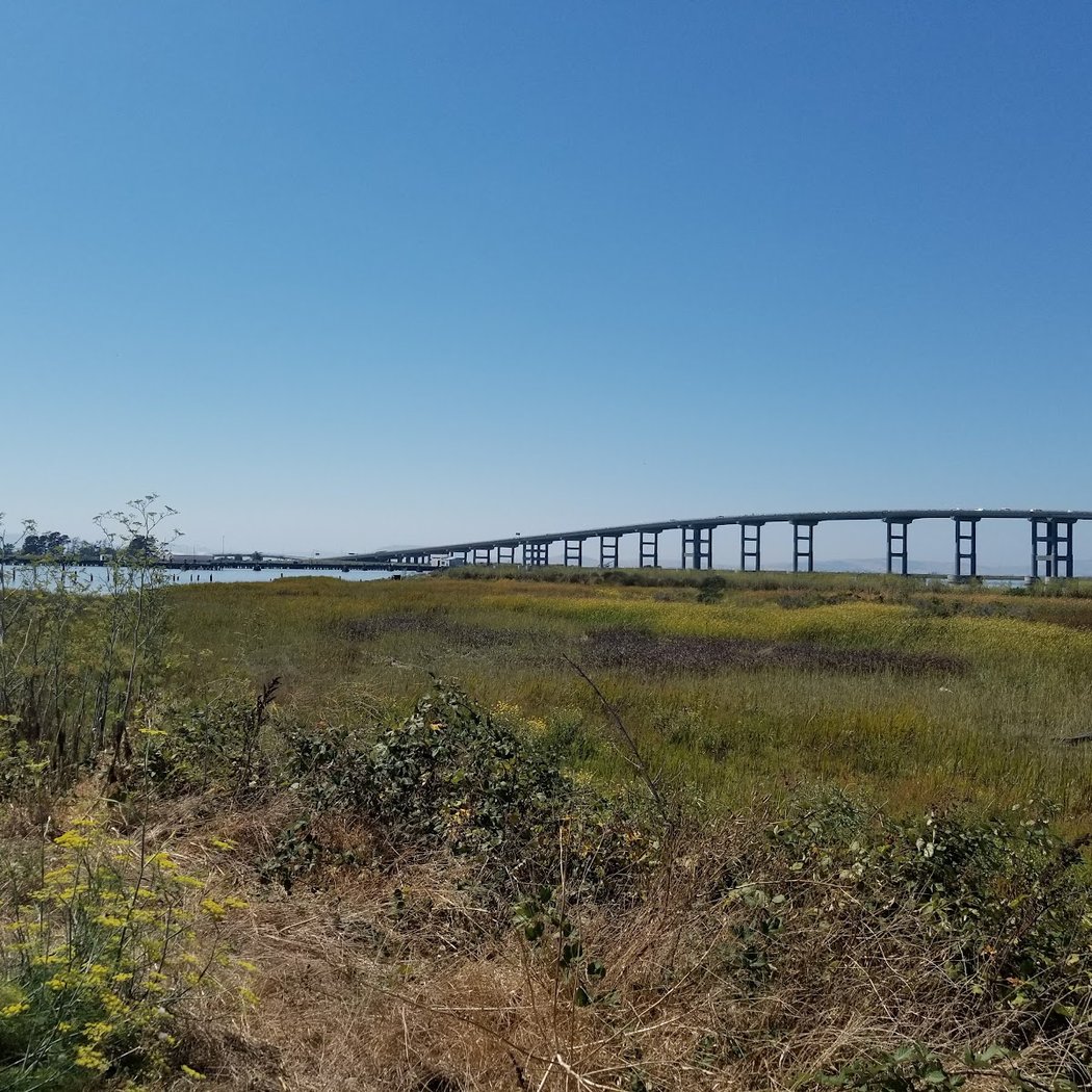Poetry by the Bay 2