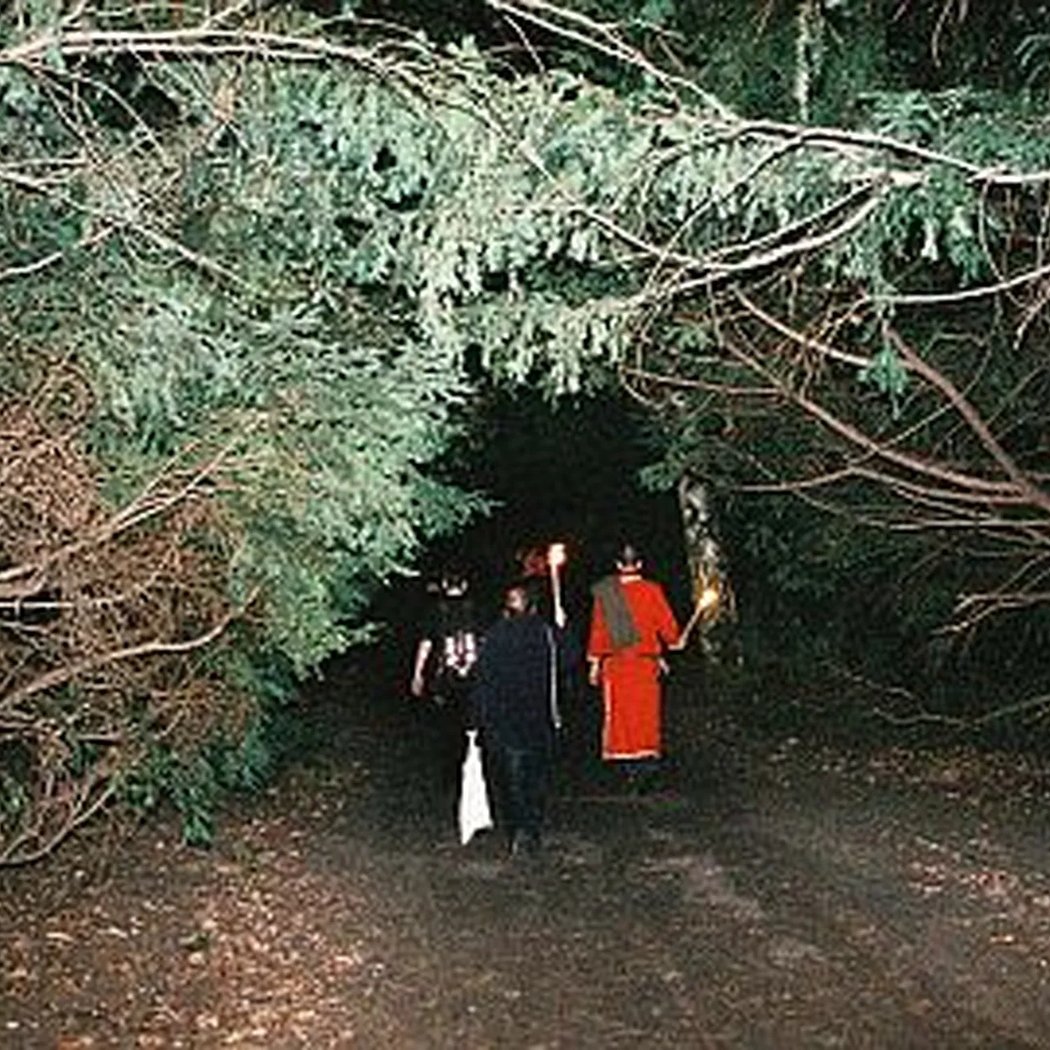 Bärentouren: Keltische Mythologie im Humboldthain bei Nacht