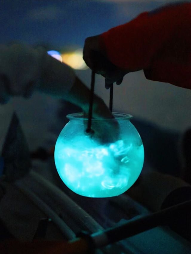 BK Adventure Florida - Bioluminescence Tours 3
