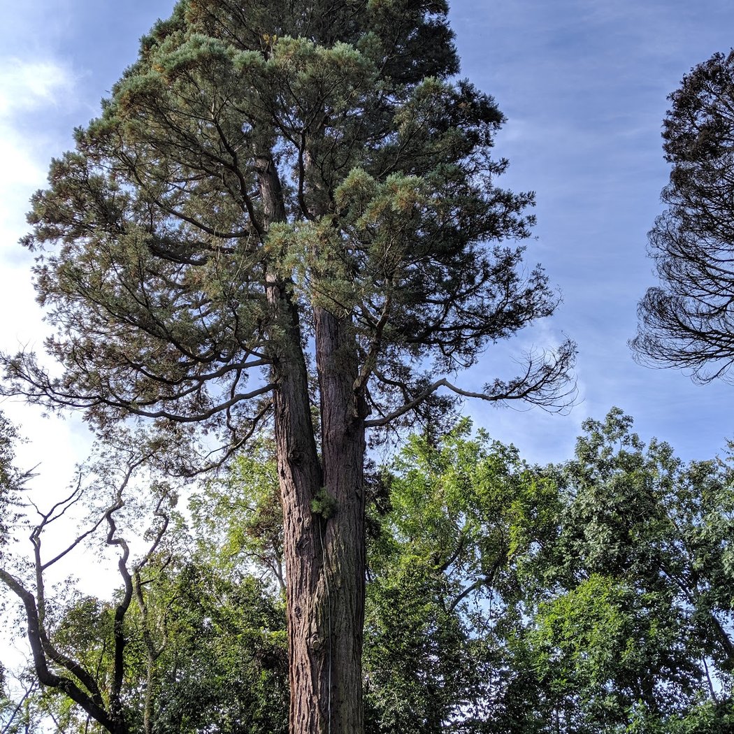 Tyler Arboretum 2
