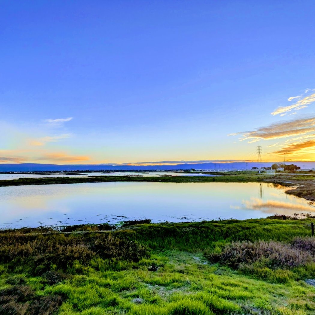 Don Edwards San Francisco Bay National Wildlife Refuge 2