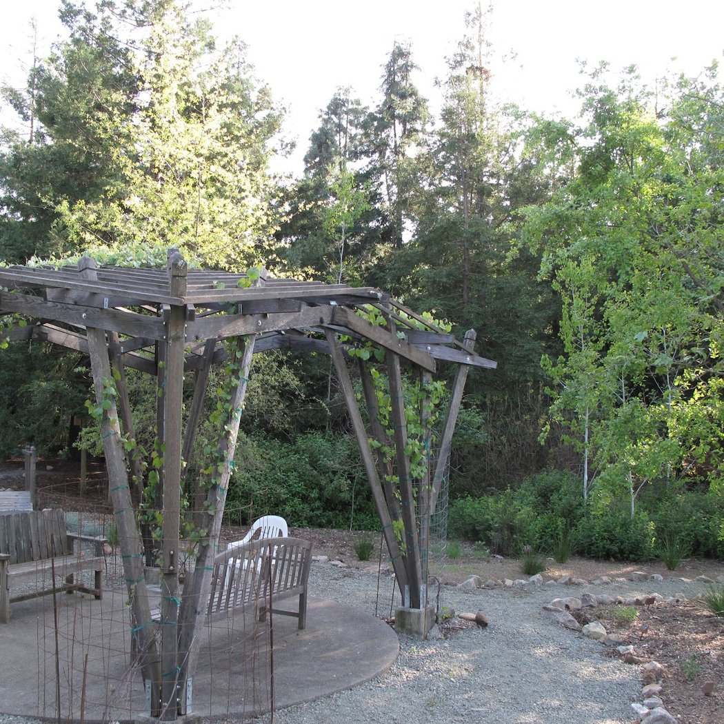 Martha Walker Native Habitat Garden 3