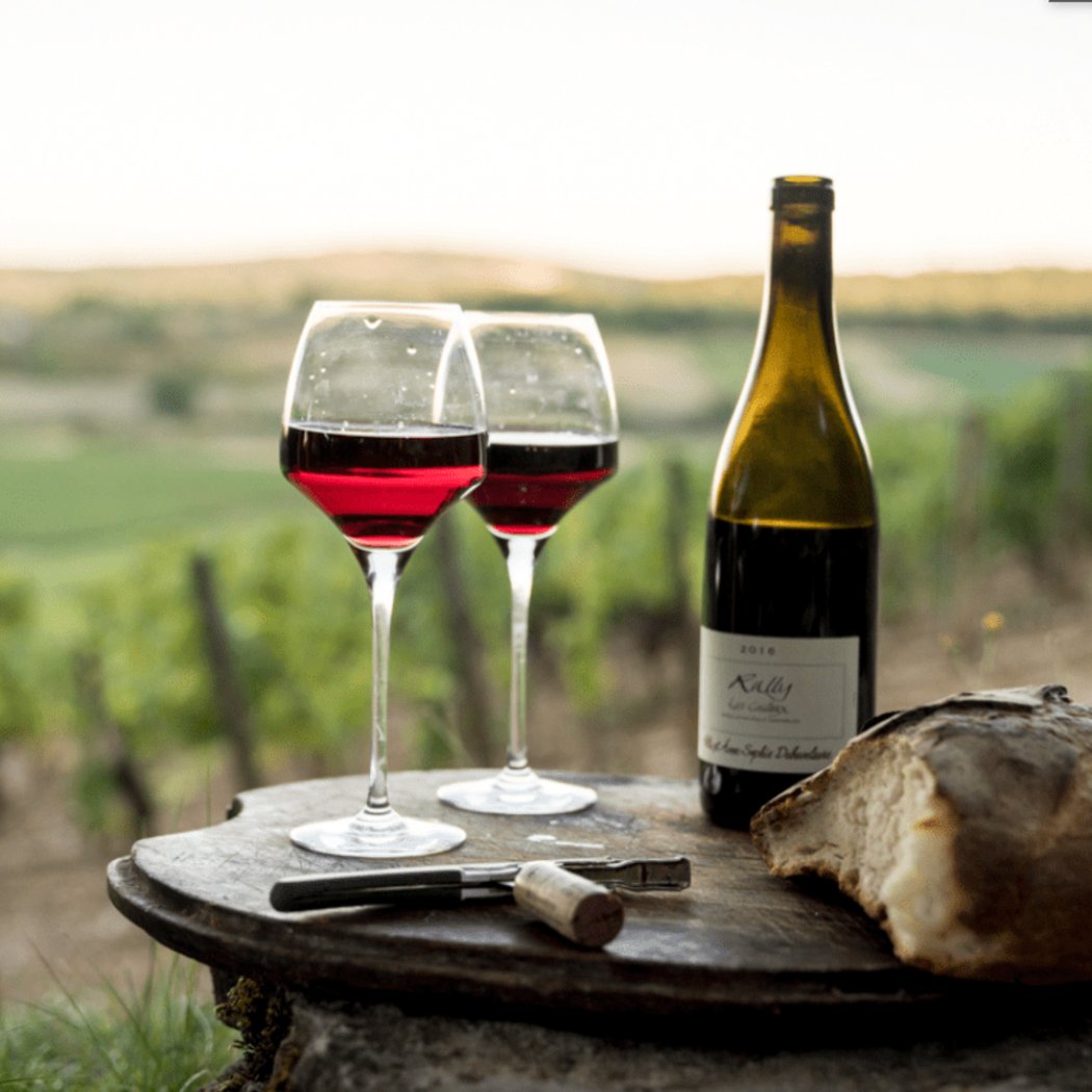 French Wine Tasting 1