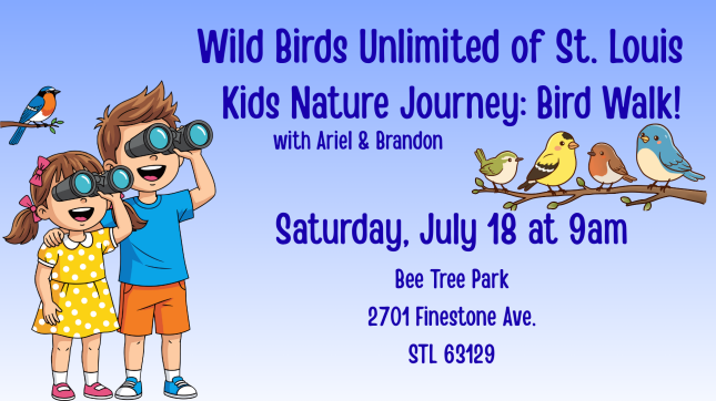 Guided Bird Walk at Bee Tree Park 1