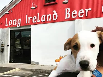 Long Ireland Beer Company 2