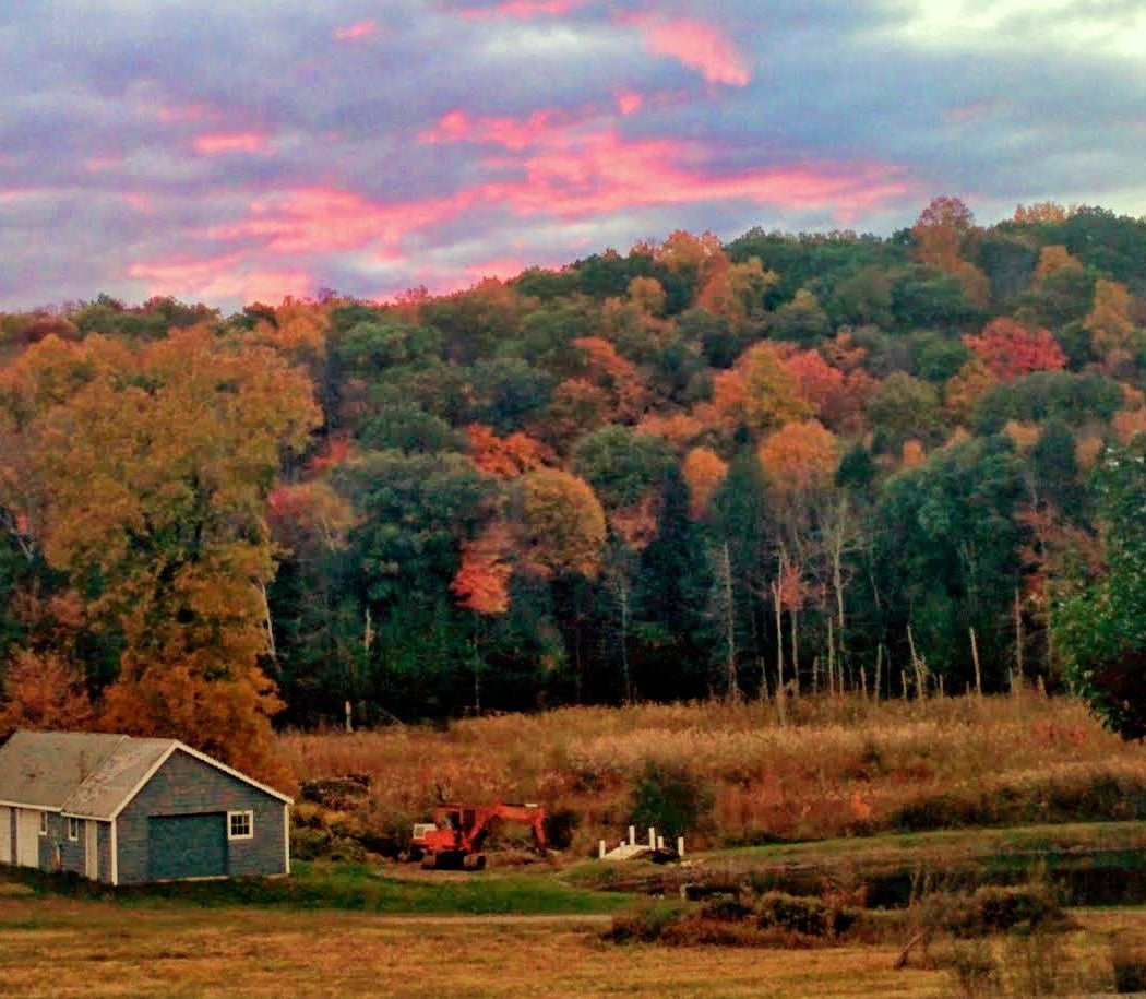 Litchfield 2