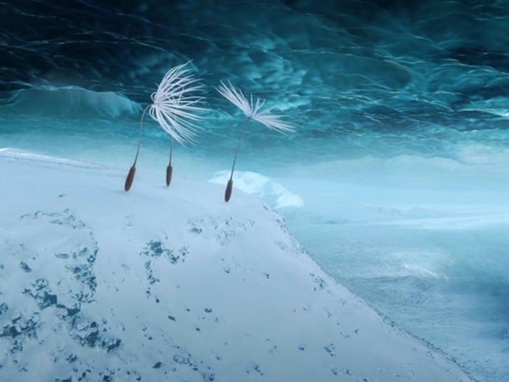 Planètes de Momoko Seto en avant-première : projection exceptionnelle 1