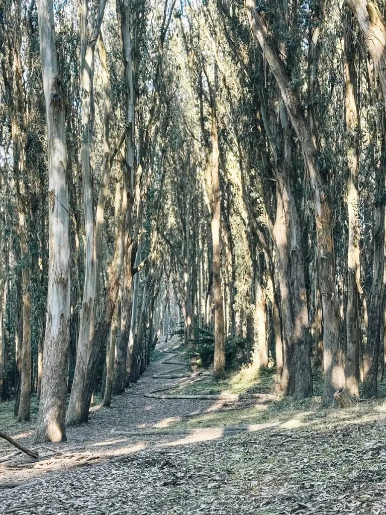 Spire by Andy Goldsworthy 2