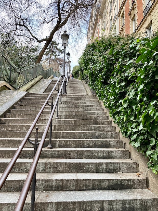 Rue Drevet Stairs 5