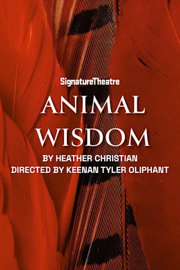 Animal Wisdom 1