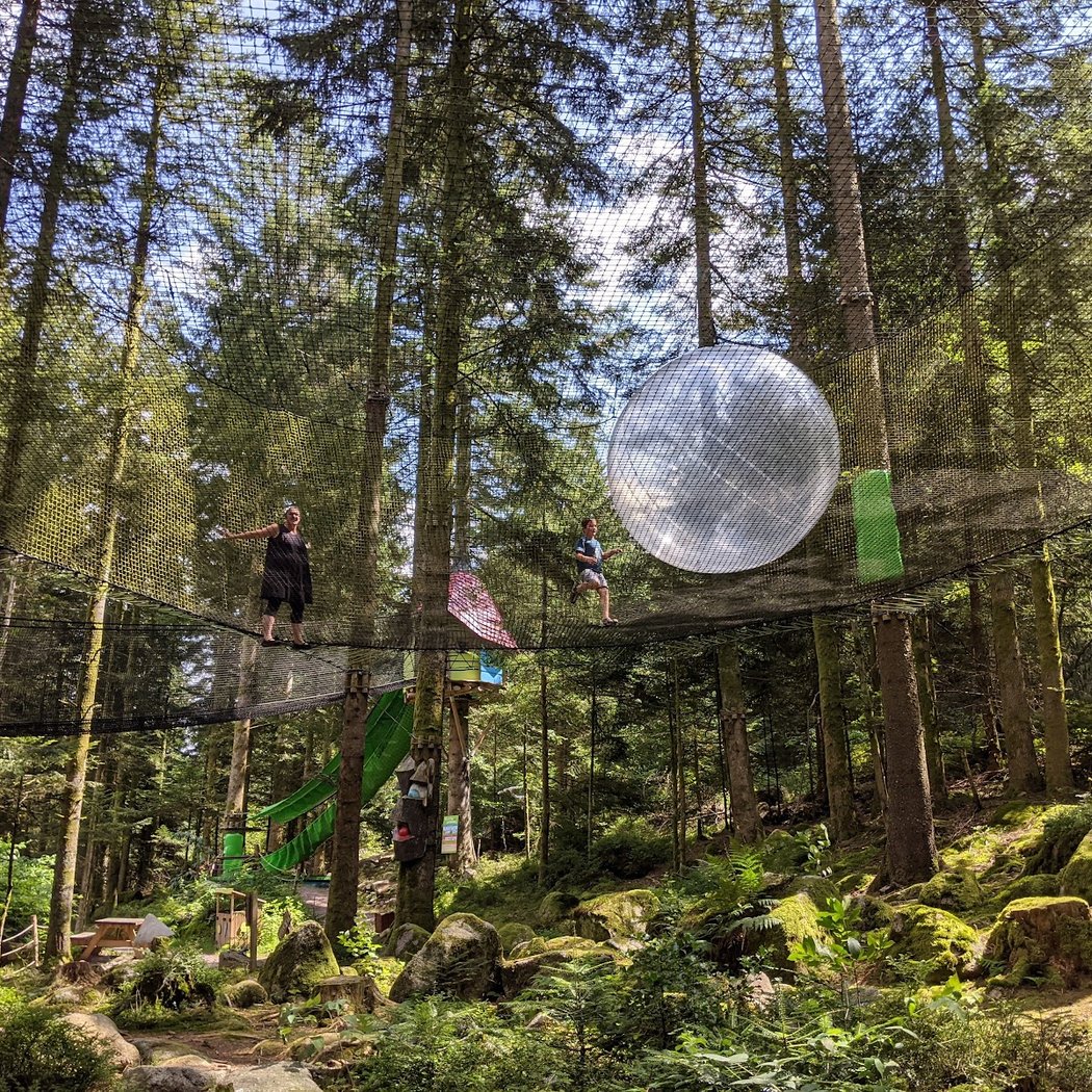 Le Bois des Lutins 3