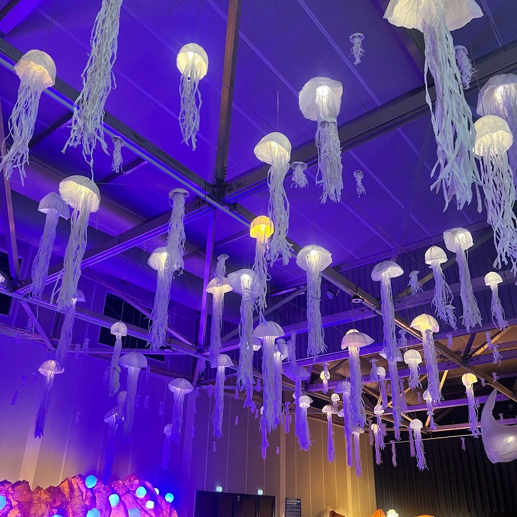 Exposition "L'Océan de Léa" 5